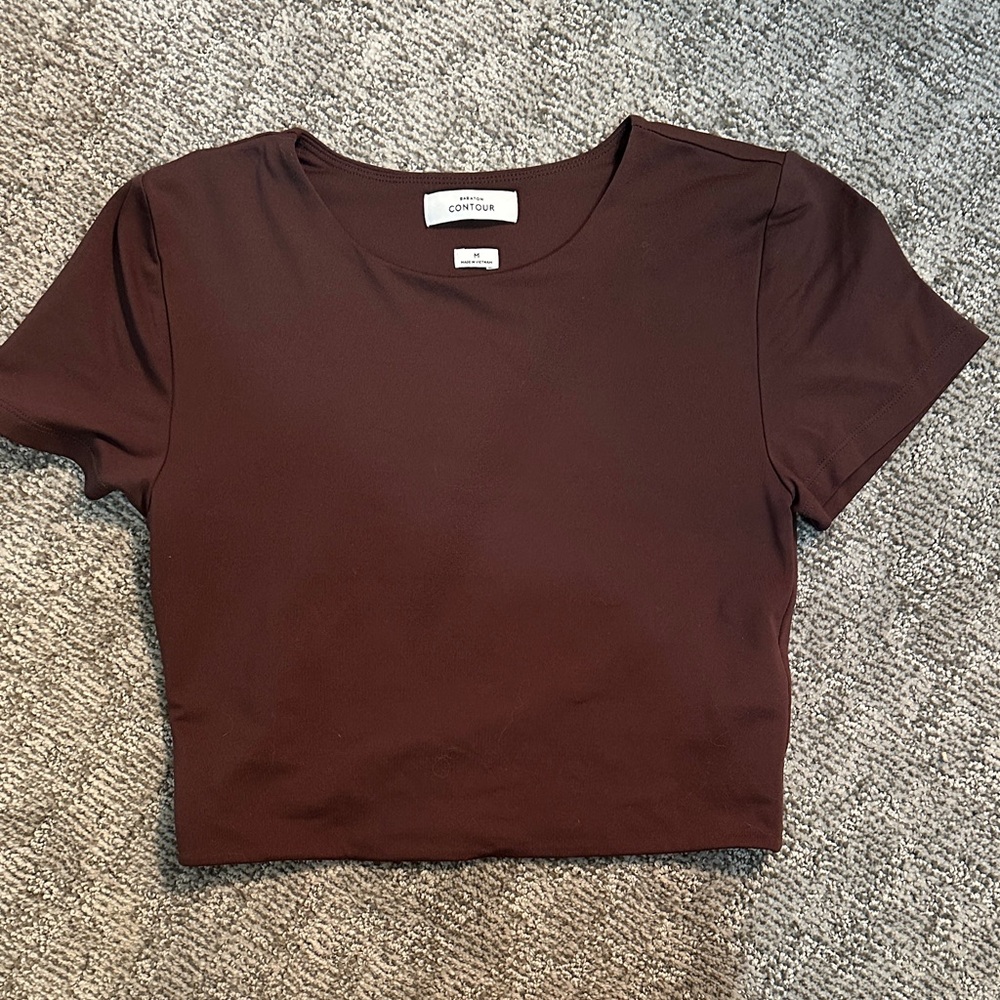 Aritzia Babaton contour brown t shirt
